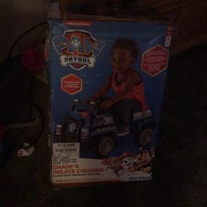 Paw patrol chases police cruiser